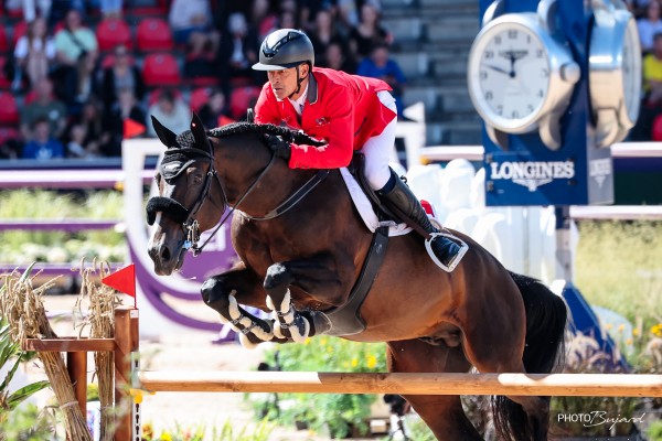 Image de cheval
